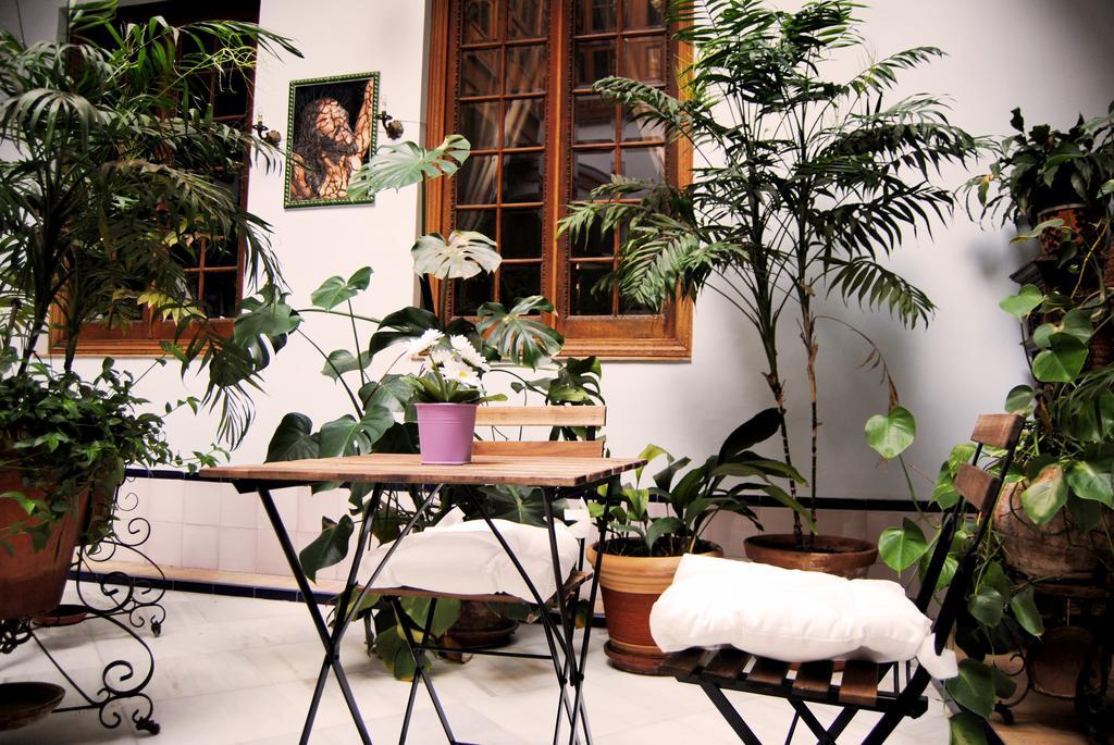 Casa Palacio Siglo Xviii * Séville
